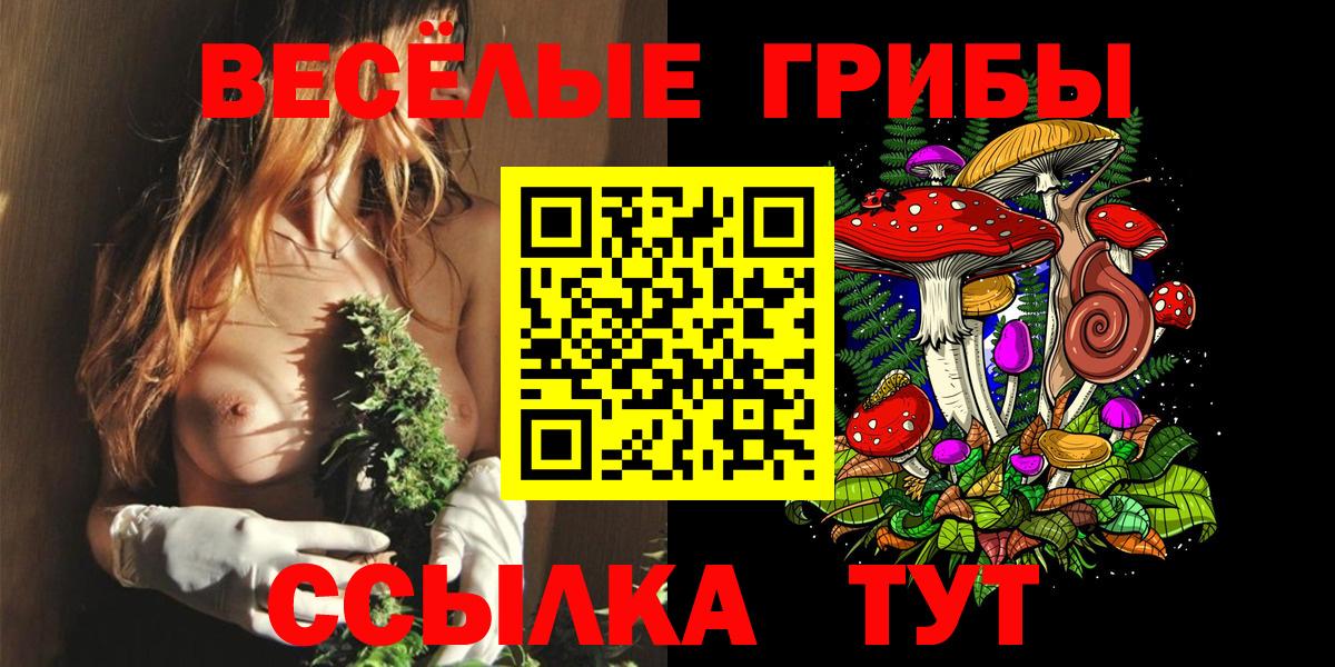 Псилоцибиновые грибы мухоморы Северск